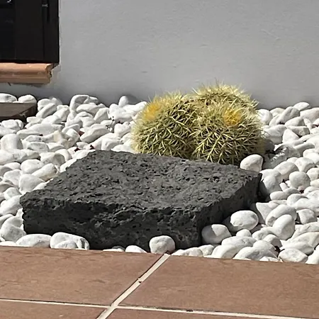 Sport & Culture Nest *