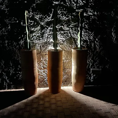 Sport & Culture Nest Daire