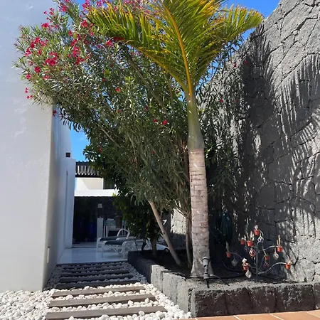 Sport & Culture Nest Daire *